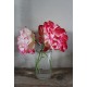 Vase Flacon ancien conservation verre transparent
