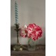 Vase Flacon ancien conservation verre transparent