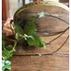 Miroir rond barbier double patte doré décors