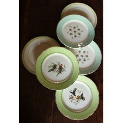 6 assiettes plates dépareillé Vert Lunéville Moulin des loups Oiseaux Fleurs