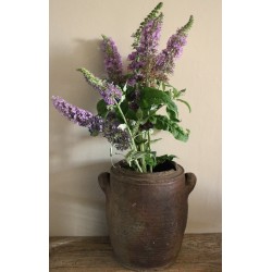 Vase Pot en terre cuite deux anses artisanat
