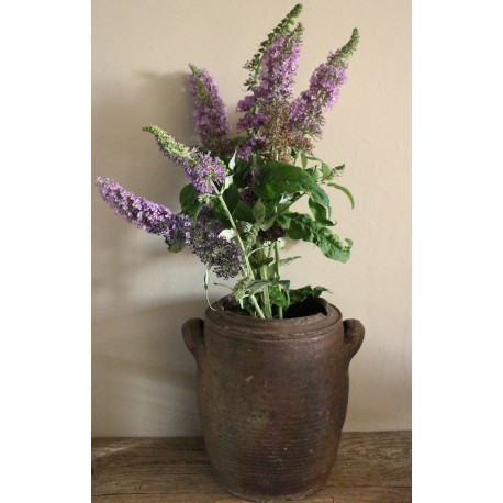 Vase Pot en terre cuite deux anses artisanat