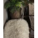 Vase Pot en terre cuite deux anses artisanat