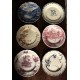 6 assiettes plates dépareillé terre de fer anglais romantiques