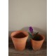 Lot 2 pots terre cuite jardin jacinthe