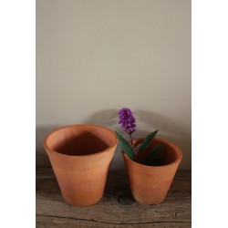 Lot 2 pots terre cuite jardin jacinthe