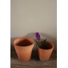 Lot 2 pots terre cuite jardin jacinthe