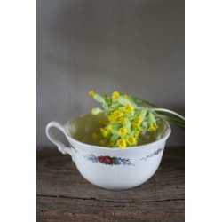Tasse écru fleurs Alsace Faïence Sarreguemines